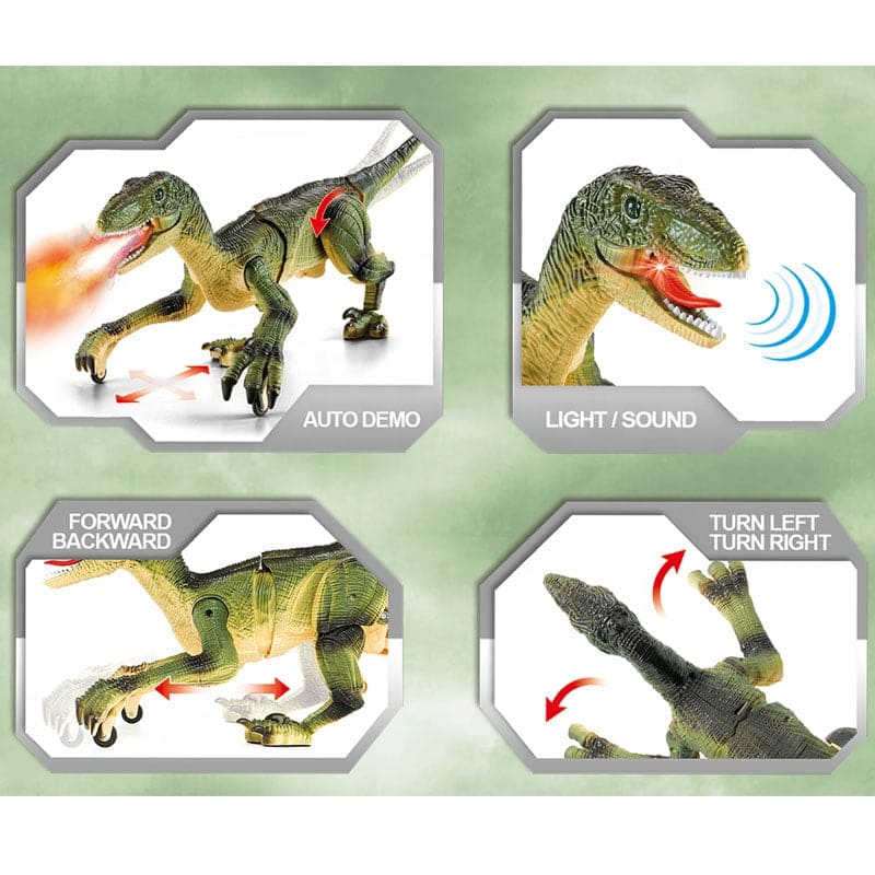 Remote Control Dinosaur Toy